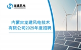 內(nèi)蒙古龍建風電技術(shù)有限公司2025年度招聘