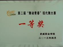 第二屆“舞動青春”現(xiàn)代舞大賽一等獎(jiǎng)